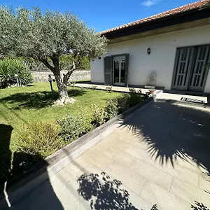 Adriana Alle Pendici Dell'etna Villa Mascalucia